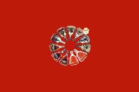 郑州市新郑回收红酒
